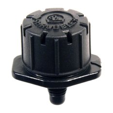 45954