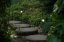 66289
